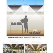 拡散光農業の概念図と実証実験