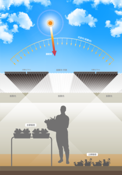 「拡散光による発電型営農ハウス」